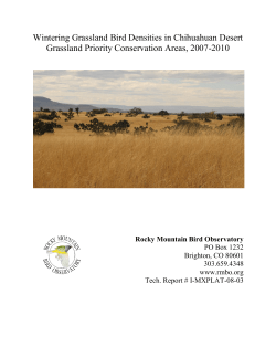 2010 Chihuahuan Desert Wintering Grassland Birds