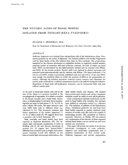 THE NUCLEIC ACIDS OF BASAL BODIES ISOLATED FROM