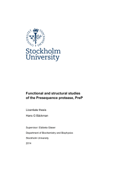 Functional and structural studies of the Presequence