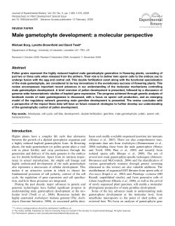 Male gametophyte development: a molecular