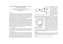 Tandem Hydrogenation-dehydration Reactions for the Synthesis of