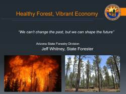 Healthy Forest, Vibrant Economy