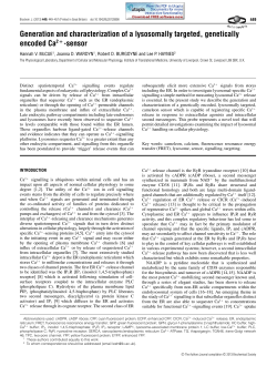 Generation and characterization of a lysosomally targeted