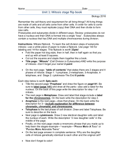 Unit 1: Mitosis stage flip book