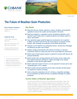 The Future of Brazilian Grain Production