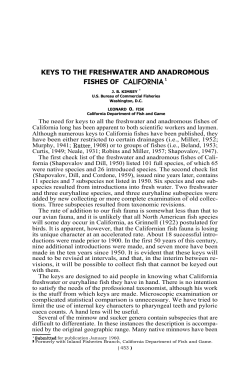 keys to the freshwater and anadromous fishes of california