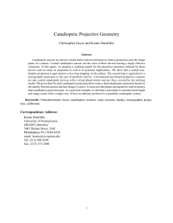 Catadioptric Projective Geometry