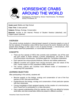 horseshoe crabs around the world