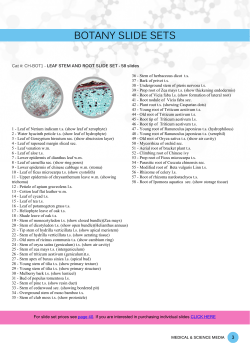 Botany Slide Sets - Medical and Science Media