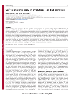 Ca signalling early in evolution &ndash; all but primitive