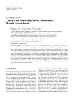 The Roles and Evolutionary Patterns of Intronless Genes in