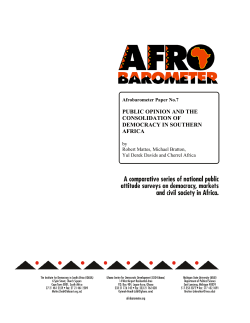 Public Opinion and the Consolidation of Democracy