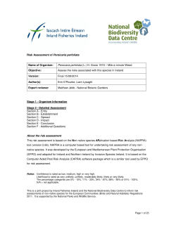Persicaria perfoliata - Non-native Species Risk Assessment for Ireland