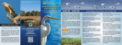 Natural Area Guide - Palm Beach County