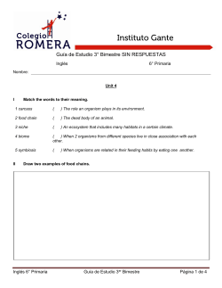 Gu&iacute;a de Estudio 3&deg; Bimestre SIN RESPUESTAS