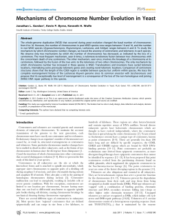 Mechanisms of Chromosome Number Evolution in Yeast