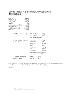 Defined Medium for Rhodococcus spp 20124 and 20KY1