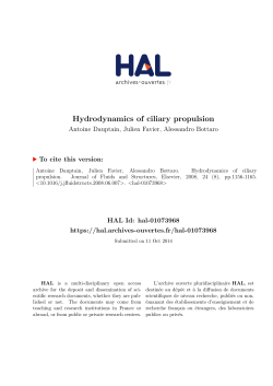 Hydrodynamics of ciliary propulsion