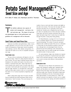 Potato Seed Management