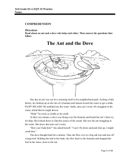 3rd Grade - Conecuh County Schools