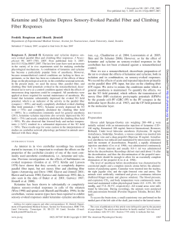 Ketamine and Xylazine Depress Sensory