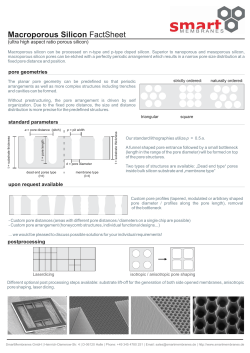 FactSheet - SmartMembranes GmbH