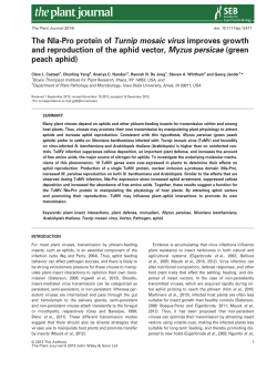The NIaPro protein of Turnip mosaic virus improves growth and