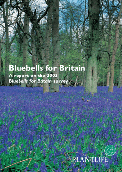 Bluebells for Britain