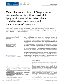 Get PDF - Wiley Online Library