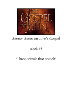 Sermon Series on John`s Gospel Week #5 &ldquo;Three animals that preach&rdquo;
