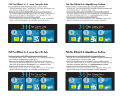 TSA The Official 3-1-1 Liquid Carry-On Rule TSA