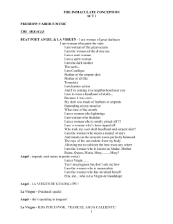 The Immaculate Conception Script