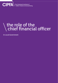 the Role of the CFO in Local Government