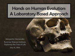 Hands on Human Evolution: A Laboratory Based Approach