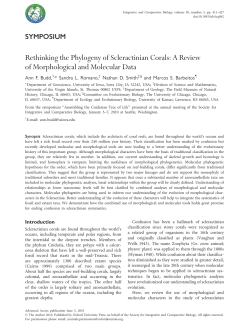 Rethinking the Phylogeny of Scleractinian Corals