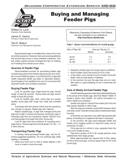 Buying and Managing Feeder Pigs - OSU Fact Sheets