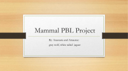 Mammal PBL Project