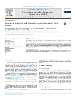 Caryospora neofalconis and other