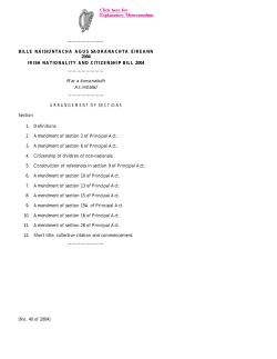 Irish Nationality and Citizenship Bill 2004