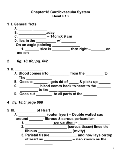 Chapter 18 Cardiovascular System Heart F13 1 I. General facts A