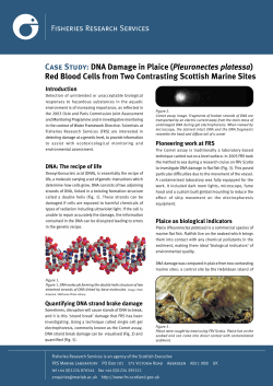 Case Study: DNA Damage in Plaice (Pleuronectes platessa) Red