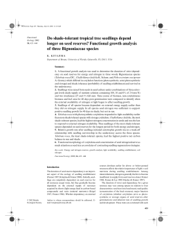 Functional growth analysis of three Bignoniaceae speci
