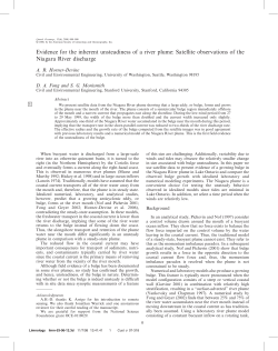 Evidence for the inherent unsteadiness of a river plume: Satellite