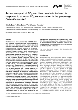 Active transport of CO 2 and bicarbonate is induced in response to