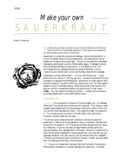 Make Your Own Sauerkraut - The Learning Store