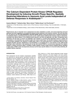 The Calcium-Dependent Protein Kinase CPK28
