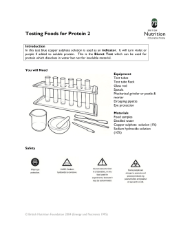 Testing Foods for Protein 2