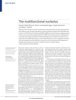 The multifunctional nucleolus