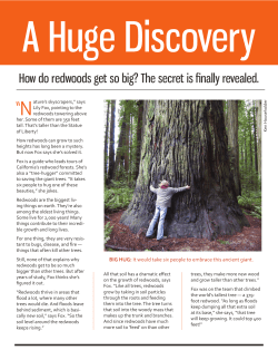 A Huge Discovery - Possible Worlds