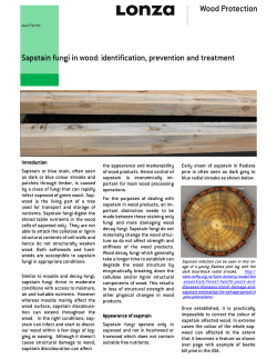 Sapstain Identification Prevention Dec 2016